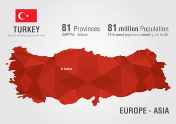 トルコ駐在の求人