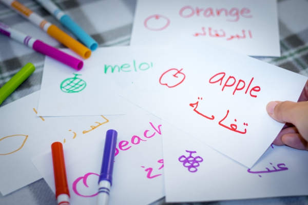 アラビア語を活かす仕事の求人情報