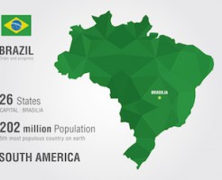 ブラジル駐在の求人