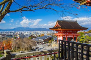 京都大使館、領事館の求人