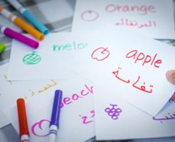 アラビア語を活かす仕事の求人