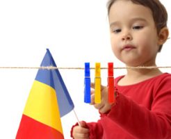 ルーマニア語を活かす求人情報