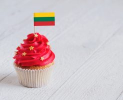 リトアニア大使館の求人情報