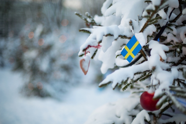 スウェーデン大使館の求人情報を探す時にチェックすべき3つの媒体